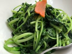 鸡毛菜-梧桐