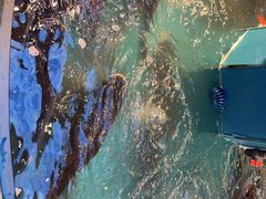 -魏铭鱼头捞饭(晋阳路店)