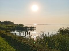 -西京湾花海