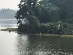 -上海市保健医疗中心(华东疗养院)
