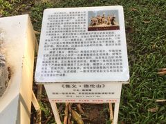-万绿园