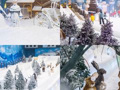 -世界之窗阿尔卑斯冰雪世界