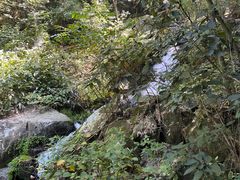 -藏龙百瀑风景区