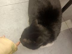 -艾加柒克蛋糕茶歇甜品台(春熙路店)