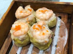 -鹅城