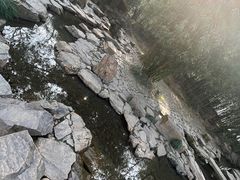 -兰亭风景区