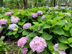 -新天地活力PARK