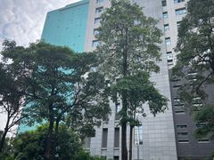 -荔枝公园(福田区)