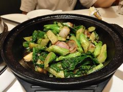 -金春禧(世茂国际广场店)