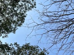 -长广溪湿地公园