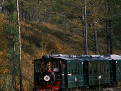 -莫尔道嘎国家森林公园