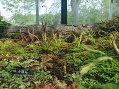 -国家植物园南园