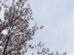 -秦始皇帝陵博物院-丽山园