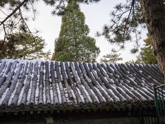 -颐和园