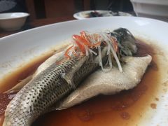 -悦真雅院·四合院·清真私房菜(雍和宫店)