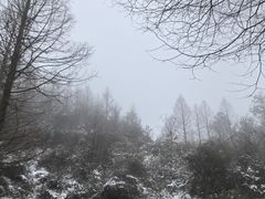 -山王坪喀斯特国家生态公园