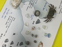 -沈阳海洋探索中心