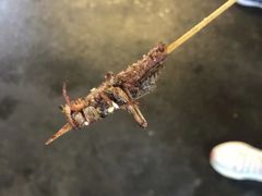 -大学城夜市大排档(凤栖路店)