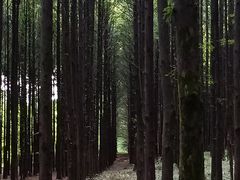 -山王坪喀斯特国家生态公园