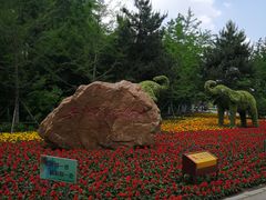 -长白岛森林公园