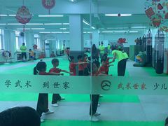 -武术世家少儿培训中心(首都体育学院店)