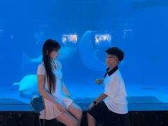 -海合安成都极地海洋公园