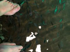 -宝丽金大酒店·洗浴中心