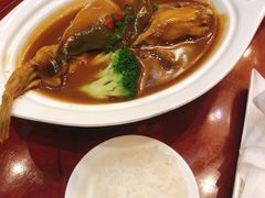 -宋宴(虎跑店)