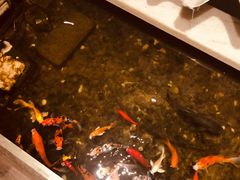 -衡山汇·高级粤菜(霄云路店)