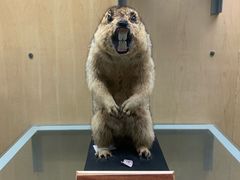 -陕西自然博物馆