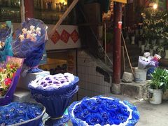 邓记莽子火锅(鲁祖庙店)-邓莽子老火锅(鲁祖庙店)
