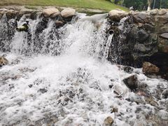 -长白岛森林公园