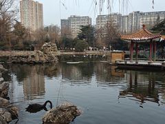 -西苑公园
