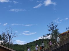 -莫尔道嘎国家森林公园