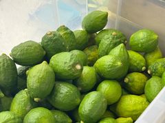 -introlemons(北京西单更新场店)