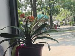 -秦扬居特色菜馆(上王村)