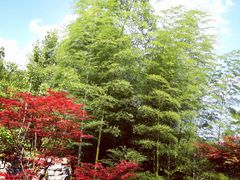 -罗田薄刀峰风景区