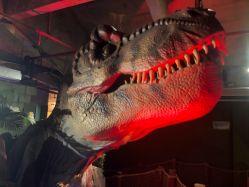 -恐龙探索乐园(磁器口店)