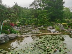 -东莞植物园