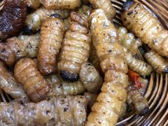 -昆虫窝子·特色云南菜(拓东路总店)