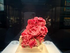 -湖南省地质博物馆