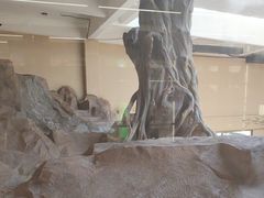 -宁波野生动物园