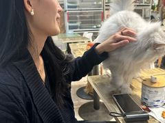 -小时光咖啡馆(北锣鼓巷店)