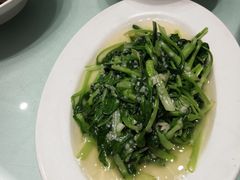 鸡毛菜-小贝壳酒楼(经九路店)