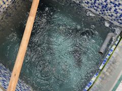 -全乐鱼馆·淳牌有机鱼直营店