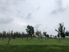 -海宁鹃湖公园