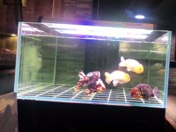 -青木造型HAIR·あおき髪を刈る潮人店