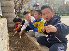 -北京市丰台区阳光起点锦城幼儿园(丰台园)
