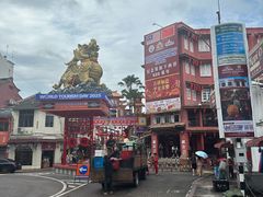 -马六甲鸡场街