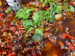 -蛙兔鸡自贡风味·特色江湖菜(广都店)